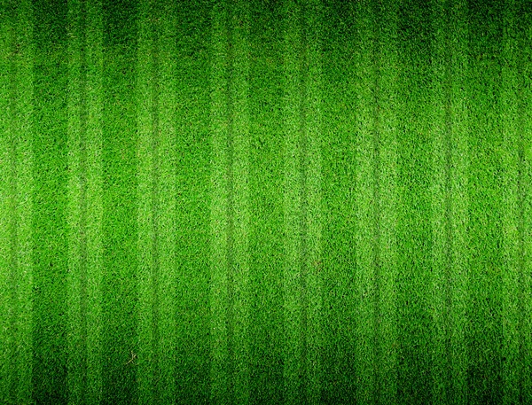 Green grass lined — Stock Photo, Image