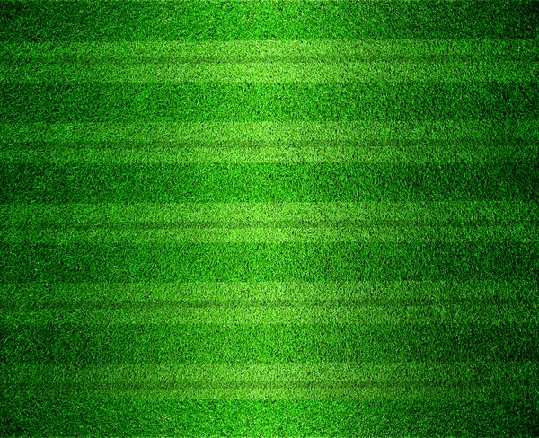 Grass lined football or soccer field — Stock Photo, Image