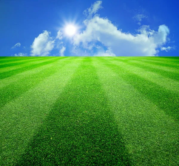 Grama verde e sol sob o céu azul — Fotografia de Stock