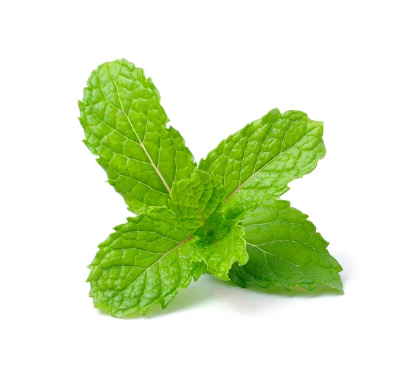 Mint isolated on white  background — Stock Photo, Image