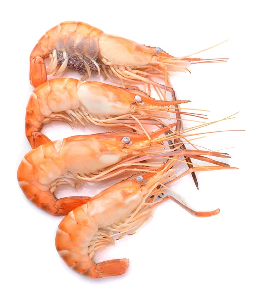 Boiled shrimp isolated on white background — Stock Photo, Image