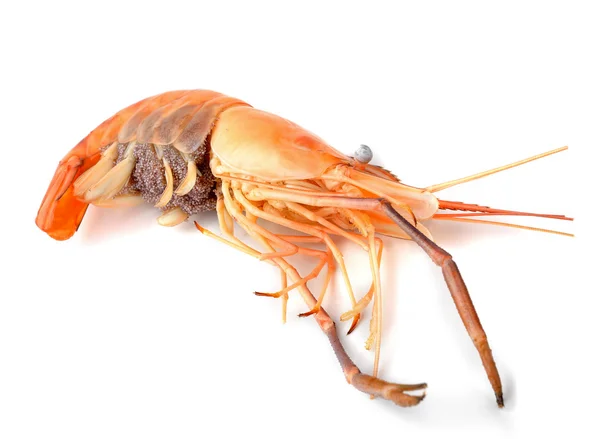 Boiled shrimp isolated on white background — Stock Photo, Image