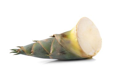 Bambu filizi beyaz arka planda izole edildi