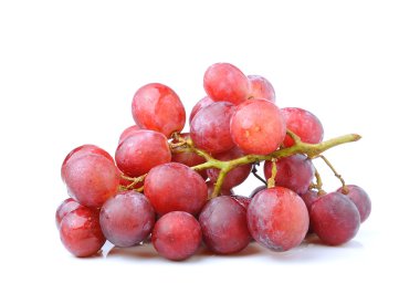 Üzüm beyazda izole edildi