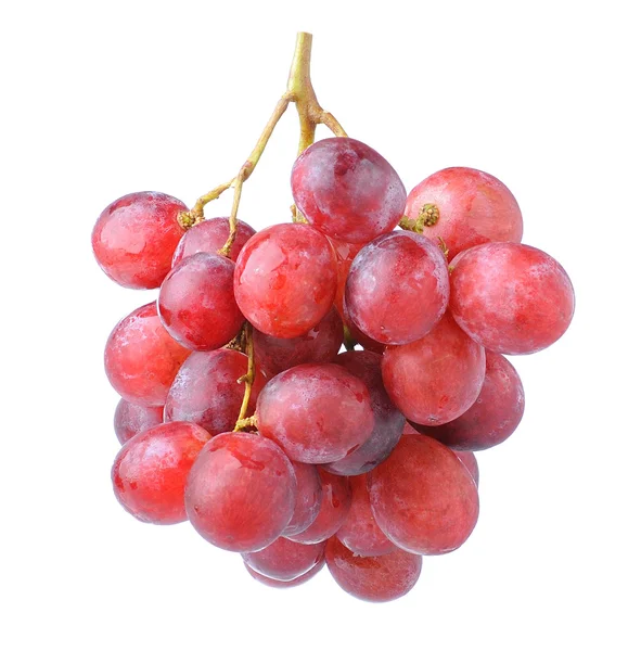 Grape isolated on white background — Stock Photo, Image