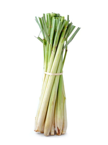 Lemongrass isoleted on white background — Stock Photo, Image