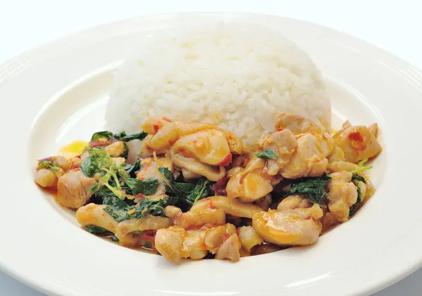 Riso fritto al basilico con carne di maiale, cibo tailandese — Foto Stock
