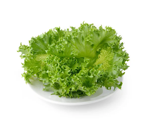 Saláta fehér tányérra — Stock Fotó