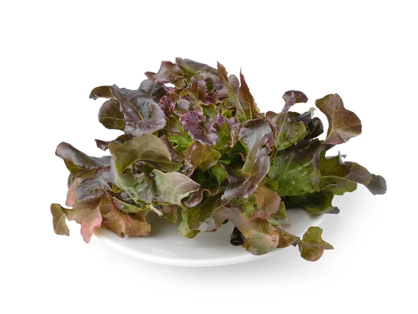 Lettuce on the white plate — Stock Photo, Image