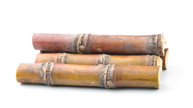 Beyaz arkaplanda izole şeker kamışı