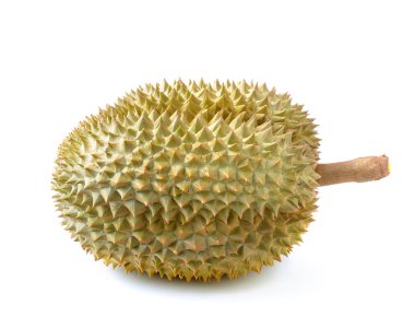 Meyve kralı, durian beyaz arka planda izole edilmiş.