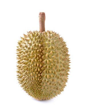 Durian beyaz arkaplanda izole edildi