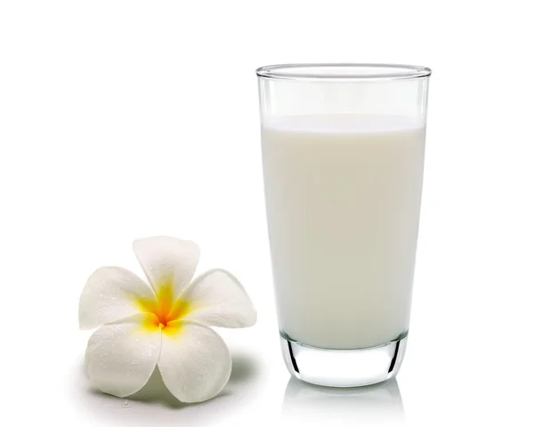 Glas mjölk och tropiska blommor frangipani (plumeria) isolera — Stockfoto