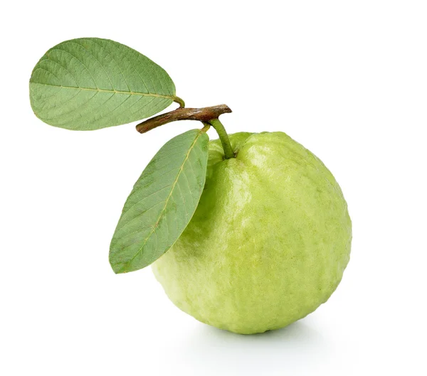 Guava fruit isolated on white background — Stock Photo, Image