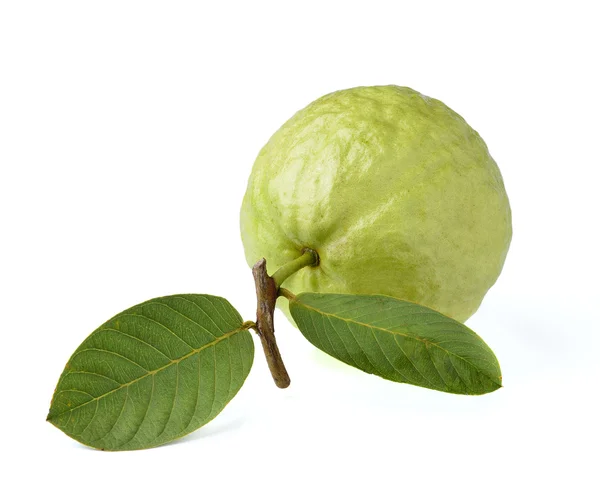 Owoce guawy wyizolowane na białym tle — Zdjęcie stockowe