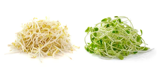 Bonen Sprouts op witte achtergrond — Stockfoto