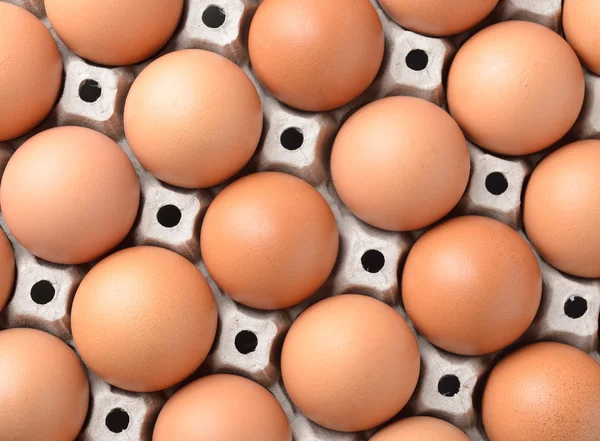 Hönsägg i panelen ägg — Stockfoto