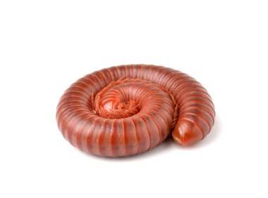 Kırkayak mükemmel bir şekilde izole edilmiş.