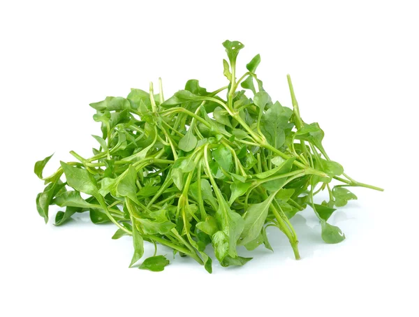 Fresh Watercress isolated on white background — Stock Photo, Image