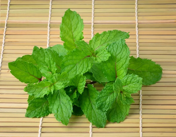 Mint leaves — Stock Photo, Image