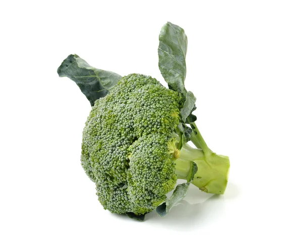 Broccoli isolerad på vita AKGRUND — Stockfoto