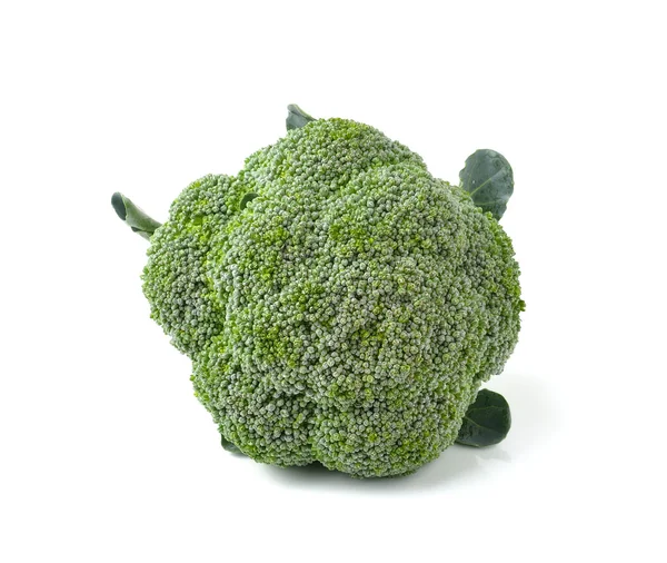 Broccoli isolated on white ackground — Stock Photo, Image