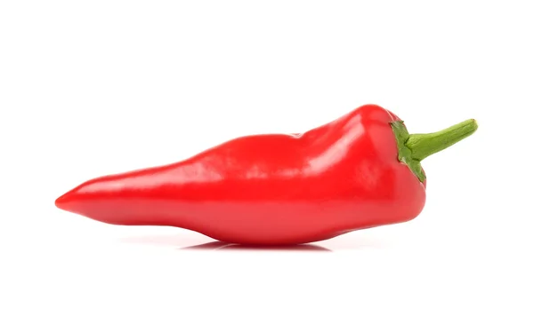 Sweet pepper isolated on a white background — Stock Photo, Image