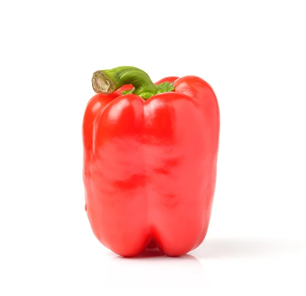 Sweet pepper isolated on a white background — Stock Photo, Image