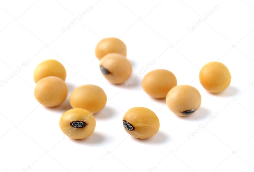 Closeup of soy beans on white background