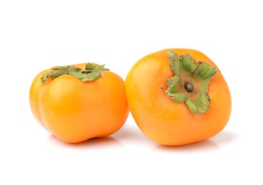 beyaz arkaplanda izole edilmiş olgun hurma ağaçları