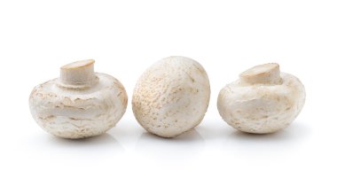  Şampiyon Mantarı beyaz arkaplanda izole edildi