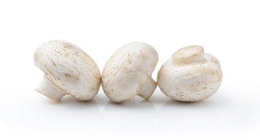 Şampiyon Mantarı beyaz arkaplanda izole edildi