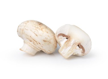  Şampiyon Mantarı beyaz arkaplanda izole edildi