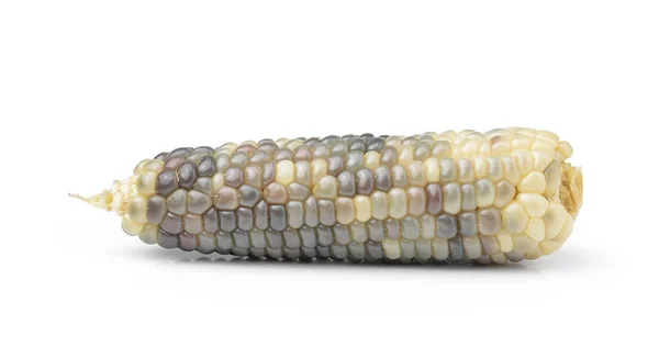 Maïs isolé sur fond blanc — Photo