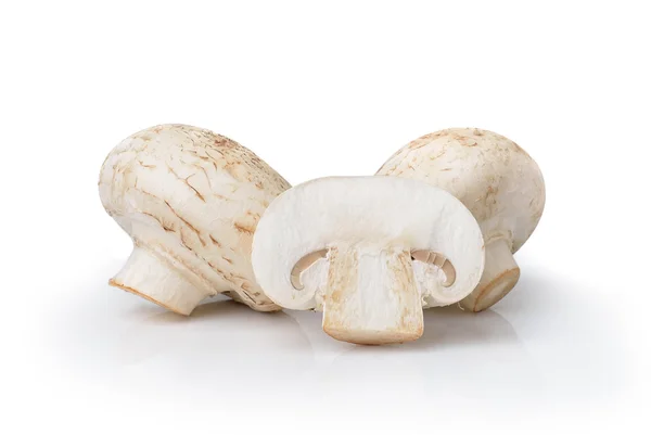 Champignon mushroom  isolated on white background — Stock Photo, Image