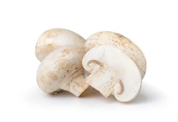 Champignon mushroom isolated on white background — Stock Image Champignon mushroom isolated on white background Stock Image