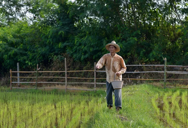 Farmer pouring  fertilize — Stock Photo, Image