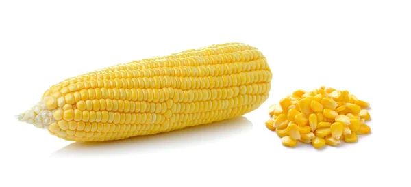 Maïs geïsoleerd op witte achtergrond — Stockfoto