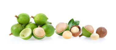 Beyaz arka planda izole edilmiş Macadamia fındıkları.