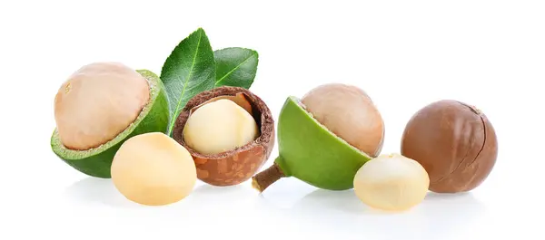 Macadamia Nüsse Isoliert Auf Weißem Hintergrund — Stockfoto