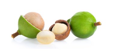 Beyaz arka planda izole edilmiş Macadamia fındıkları.