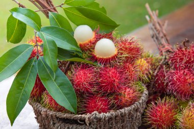 Sepette taze kırmızı Rambutan meyvesi