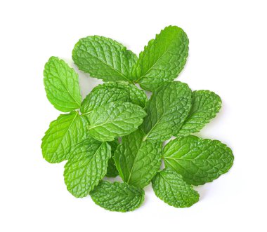 Beyaz arkaplan görünümünde izole edilmiş nane yaprakları