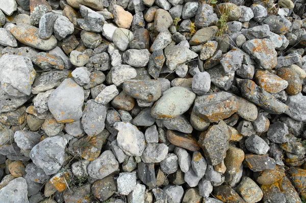 Een Dikke Laag Kasseien Van Verschillende Vormen Maten Bedekt Met — Stockfoto