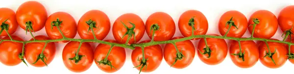 两束西红柿排成一排 俯瞰全景 因白人背景而被隔离 — 图库照片