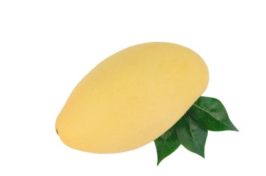 Yeşil yapraklı olgun sarı mango meyvesi manzarası. Beyaz arkaplanda izole.