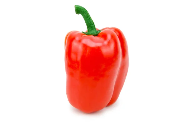 Plody Červené Papriky Stojící Vzpřímeně Zeleným Lusku Navrchu Izolováno Bílém — Stock fotografie
