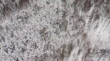 Kış kenti parkının ve uzaktaki yerleşim alanlarının en üst görüntüsü