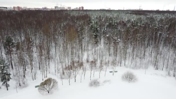 Blick Von Oben Auf Den Winterlichen Stadtpark Und Die Städtischen — Stockvideo