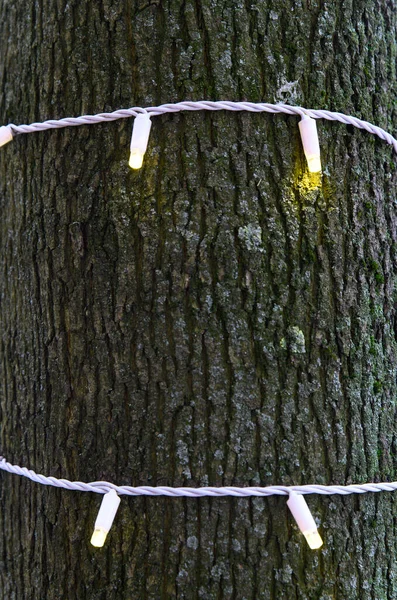 Fragment Eines Baumstammes Mit Umwickelter Girlande Glühender Kranz — Stockfoto